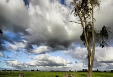 问鼎娱乐官网：英超-塔可夫斯基抽射绝平 利物浦2-2埃弗顿.