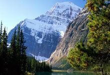 9球12助，迪马尔科是近2个赛季五大联赛参与进球第三多的后卫.